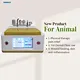 Animal joint support